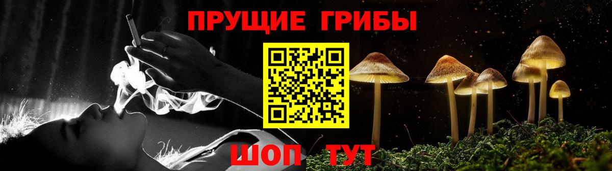 Галлюциногенные грибы Psilocybe  Вход с VPN  Гагарин 